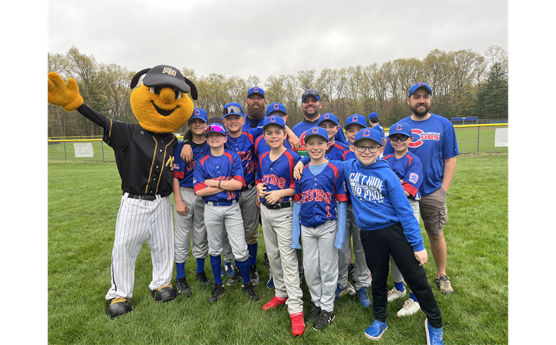 2023 Baseball Major Cubs